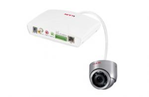 Stainless IR IP Dome Camera