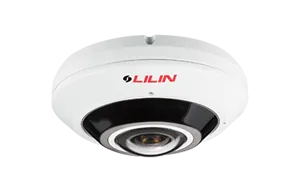 12MP Day & Night Fixed IR Vandal Resistant Panoramic IP Camera