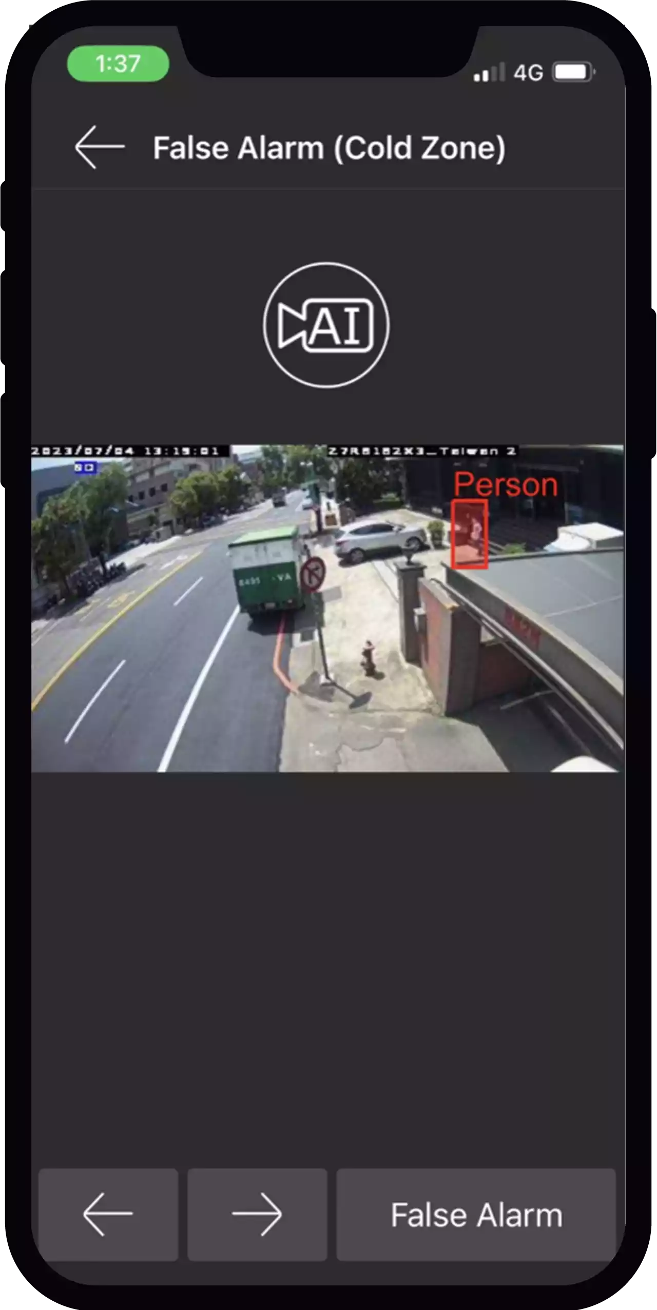AI Detection View