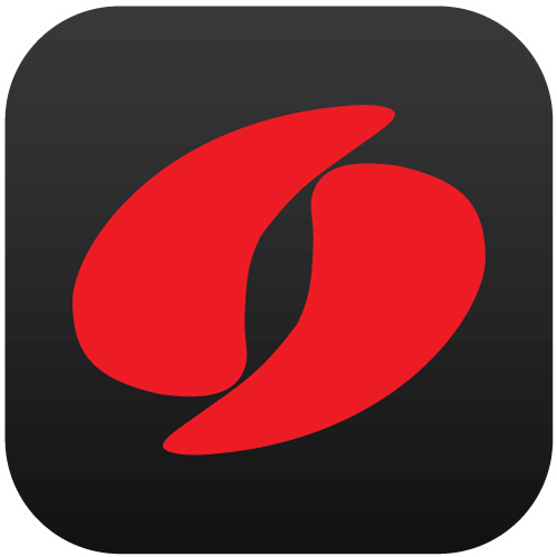 LILIN Pro Logo